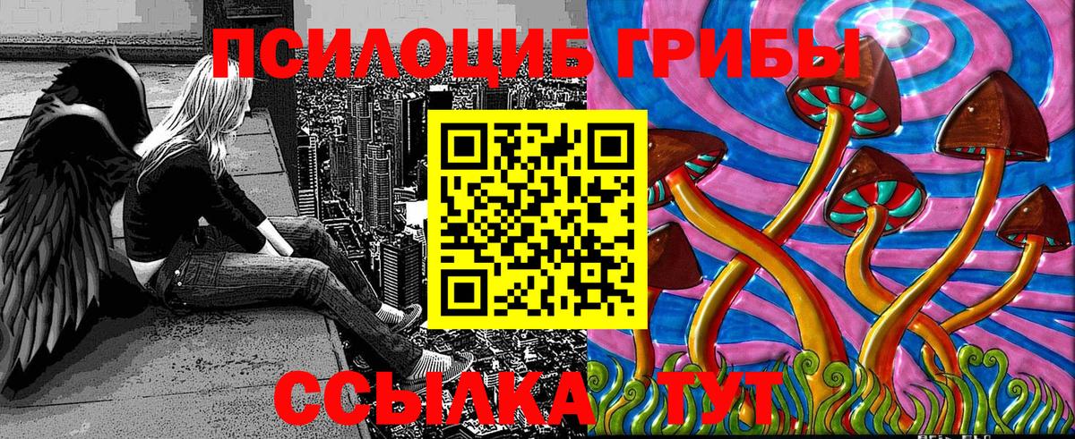 Псилоцибиновые грибы Cubensis  Вход с VPN  Псилоцибиновые грибы MAGIC MUSHROOMS  где продают   Нальчик 