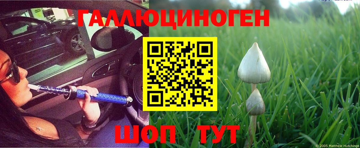 Псилоцибиновые грибы MAGIC MUSHROOMS Нальчик